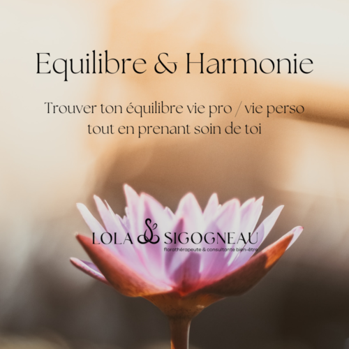 Programme Équilibre & Harmonie